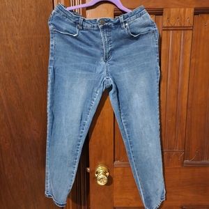 Women's Universal Standard Seine Midrise Skinny Jeans 27 Inch (Size 12)